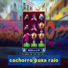 cachorro puxa raio